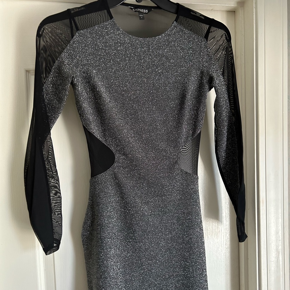 Express Sheer Dress